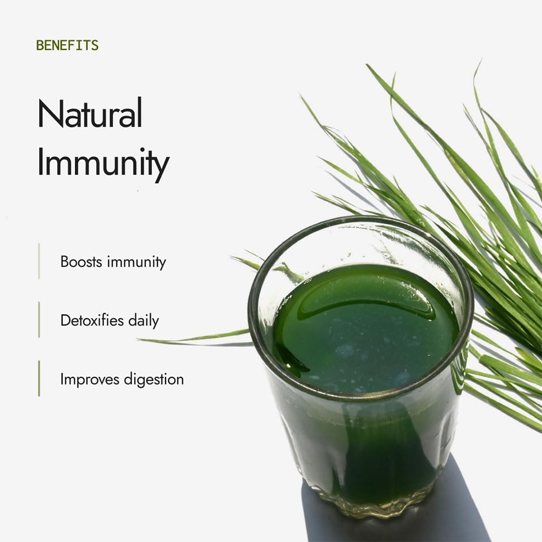 Kapiva Organic Wheatgrass Powder (100gm Each)