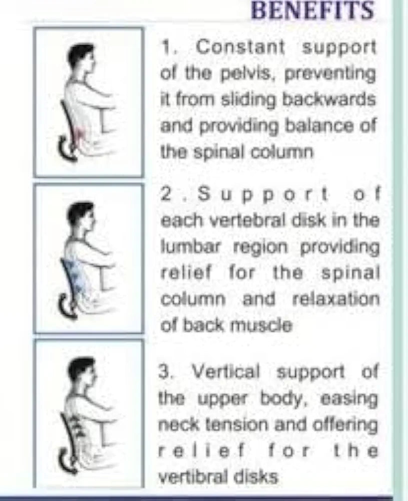 Backfit ® ™ Backrest Lumbar Support Full Size for Back Pain Chair and Car Sofa Chair Back Support 