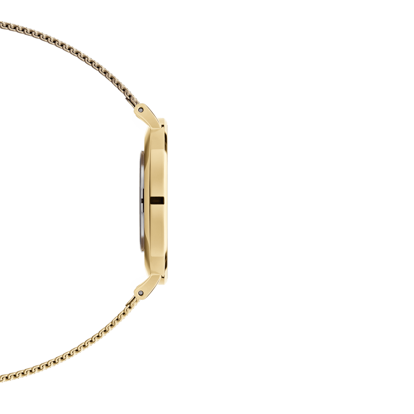 Petite Evergold Black