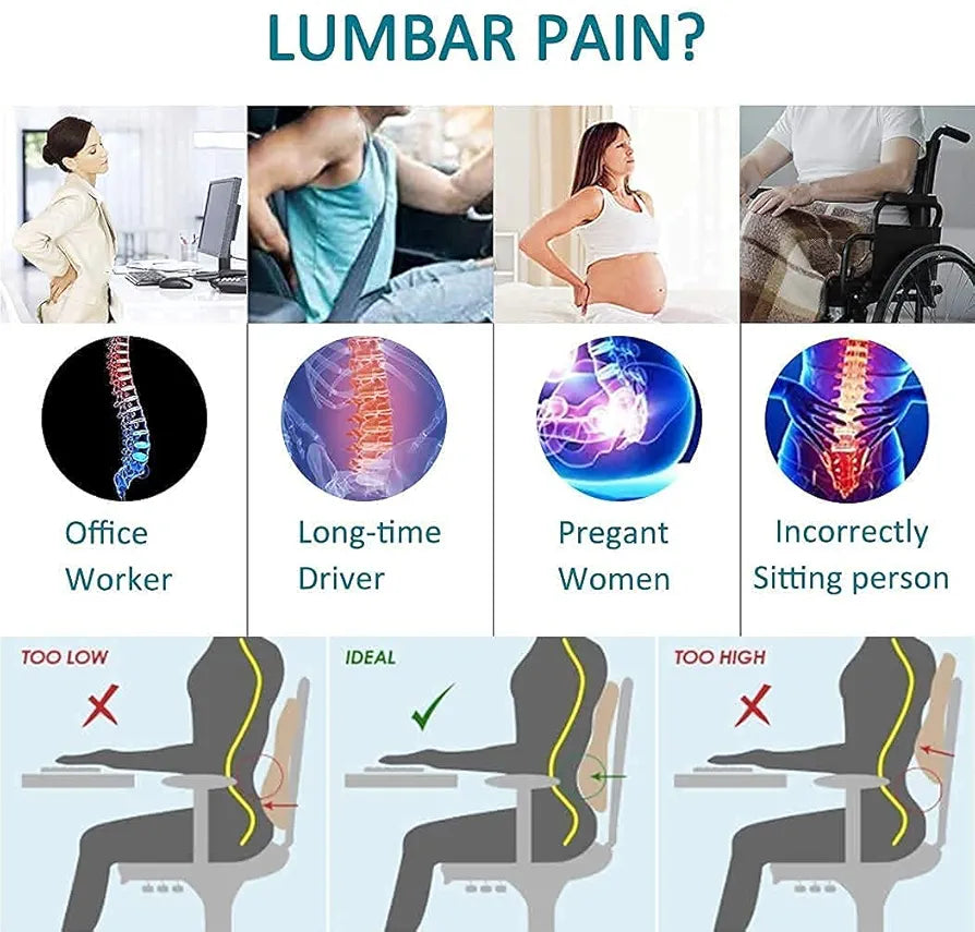 Backfit ® ™ Backrest Lumbar Support Full Size for Back Pain Chair and Car Sofa Chair Back Support 