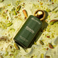 BELLAVITA Gourmet Collection Pistachio | Long Lasting Perfume for Man and Woman